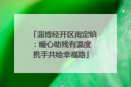 淄博经开区南定镇：暖心助残有温度 携手共绘幸福路